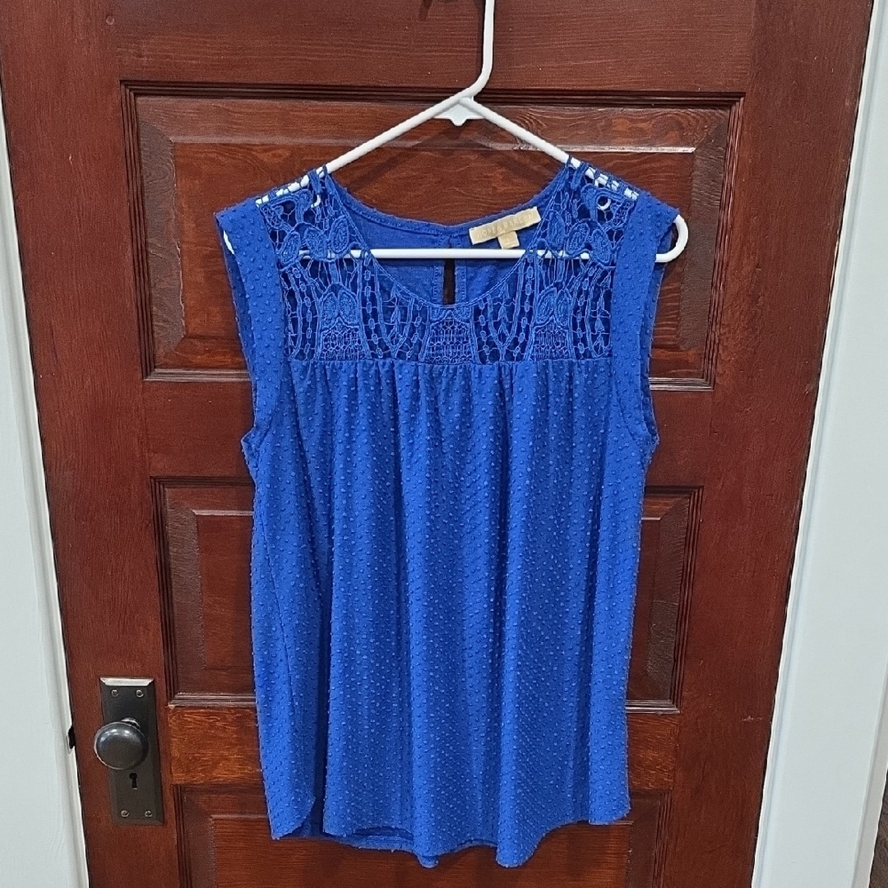 Blue Sleeveless Lace Top